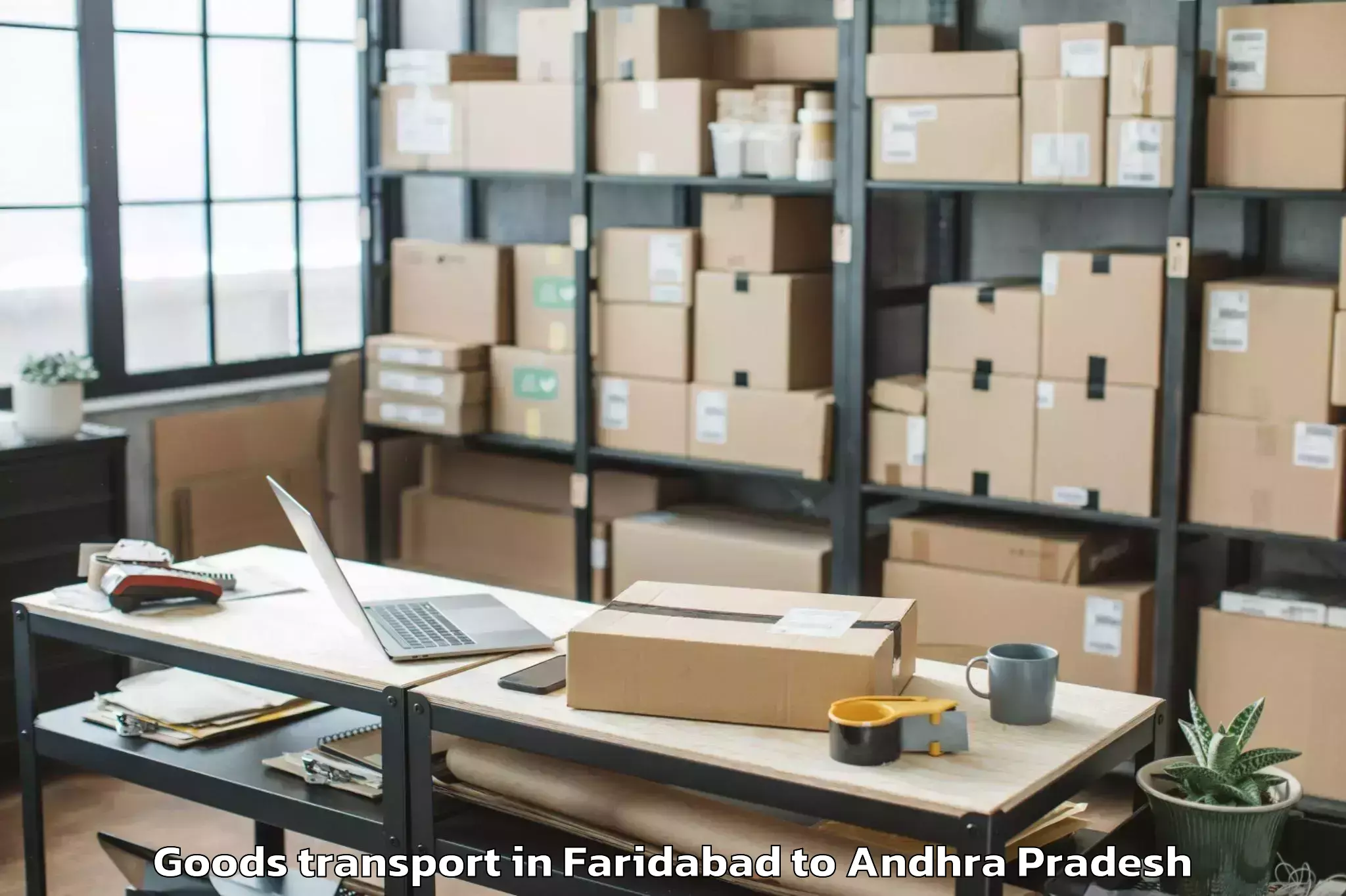 Professional Faridabad to Palakollu Goods Transport